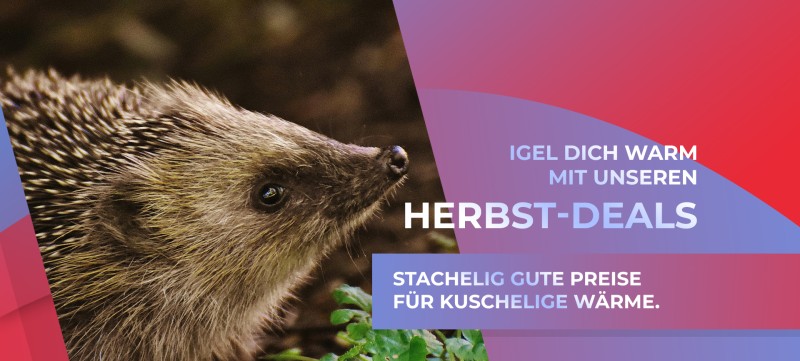 Herbst Deals 2025